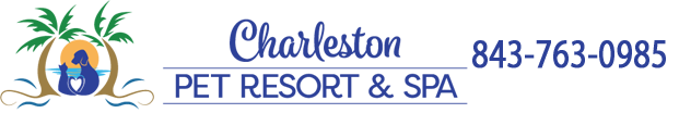 Charleston Pet Resort & Spa – Charleston, SC